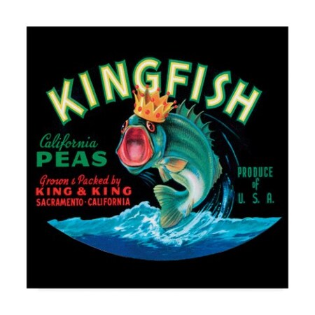 Trademark Fine Art Vision Studio 'Kingfish' Canvas Art, 24x24 WAG01907-C2424GG